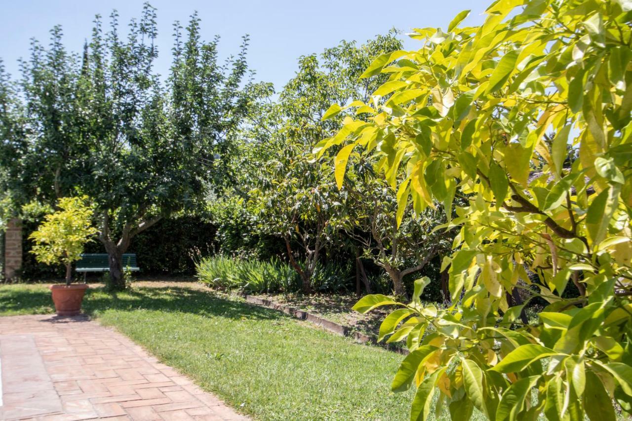 Agriturismo Filettro Volterra Kültér fotó